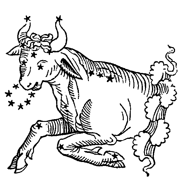 Taurus — Bull. Illustration from a 1482 edition of Poeticon Astronomicon, attributed to Hyginus.